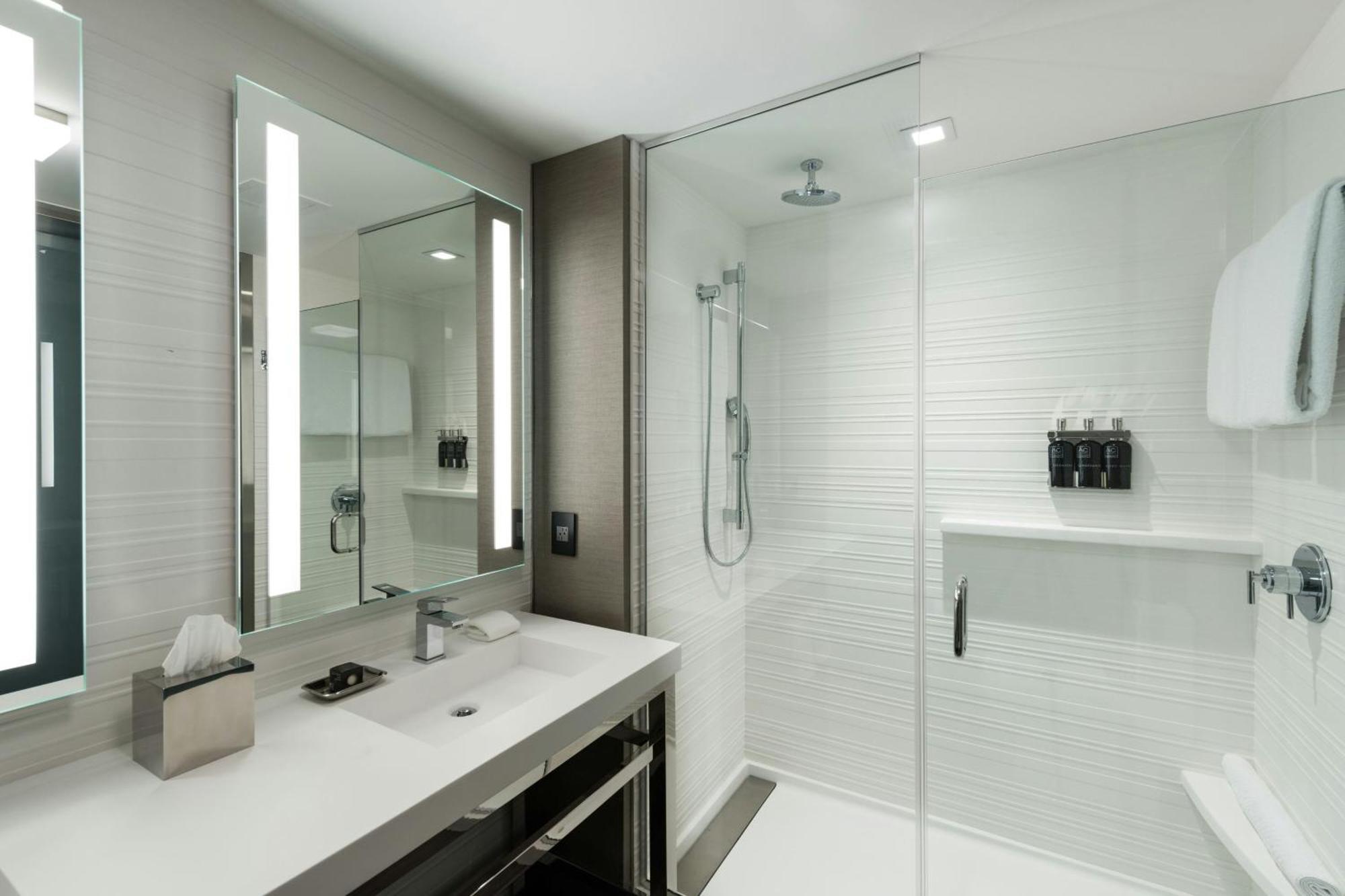 King Room Bathtub Transfer Shower Mobility Access or Hearing Accessible