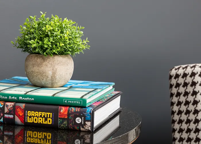 Dog Friendly Hotels BostonStudio Allston